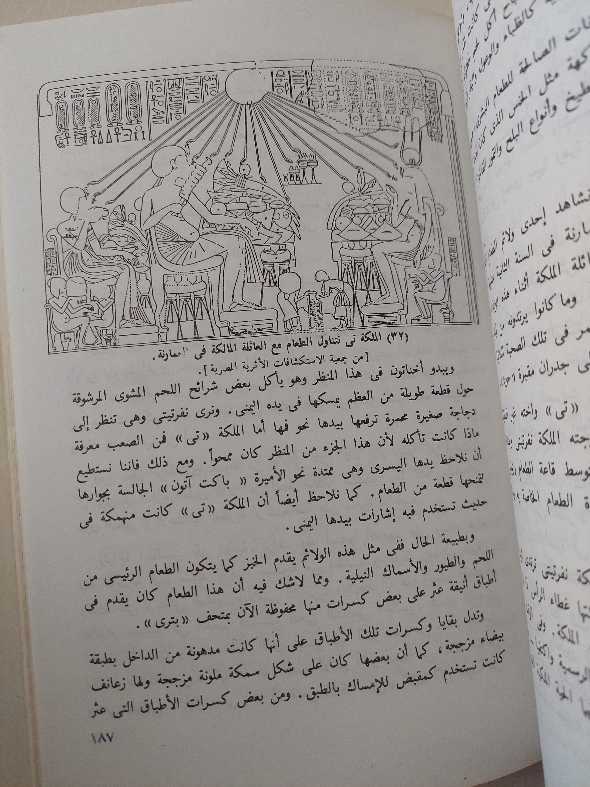 نفرتيتي : الجميلة التي حكمت مصر في ظل ديانة التوحيد / ملحق بالصور - متجر كتب مصر