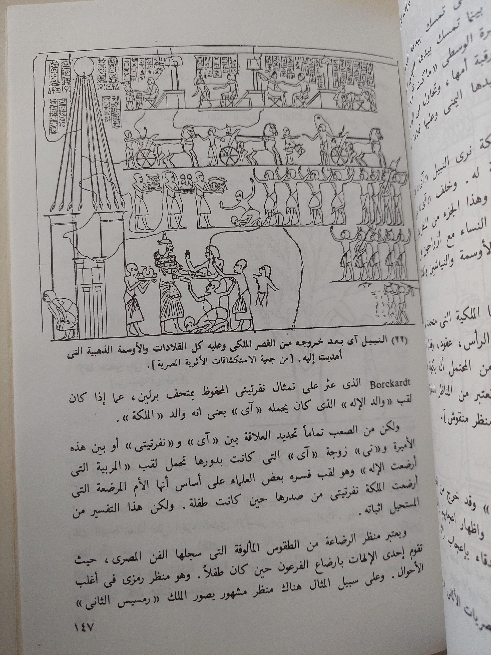 نفرتيتي : الجميلة التي حكمت مصر في ظل ديانة التوحيد / ملحق بالصور - متجر كتب مصر