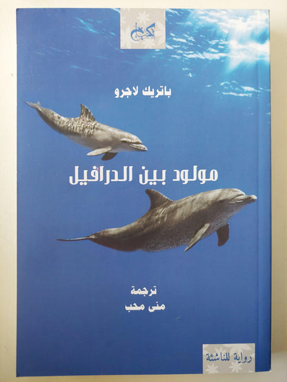 مولود بين الدرافيل / باتريك لاجرو ط1 - متجر كتب مصر