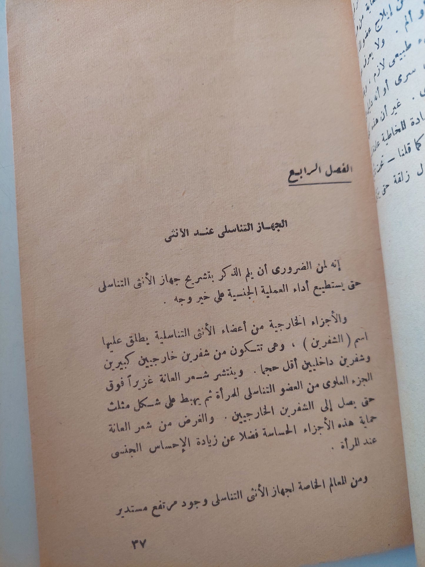 دراسات في الجنس : الأحساسيس الجنسية لدي الأزواج والزوجات