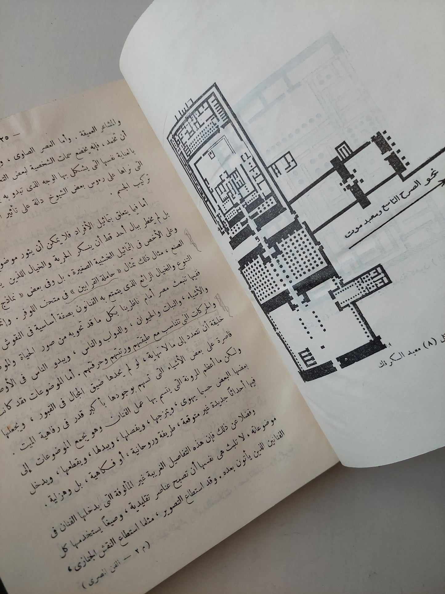 الفن المصري القديم / كريستيان ديروش ( هارد كفر ملحق بالصور ) ط. 1966