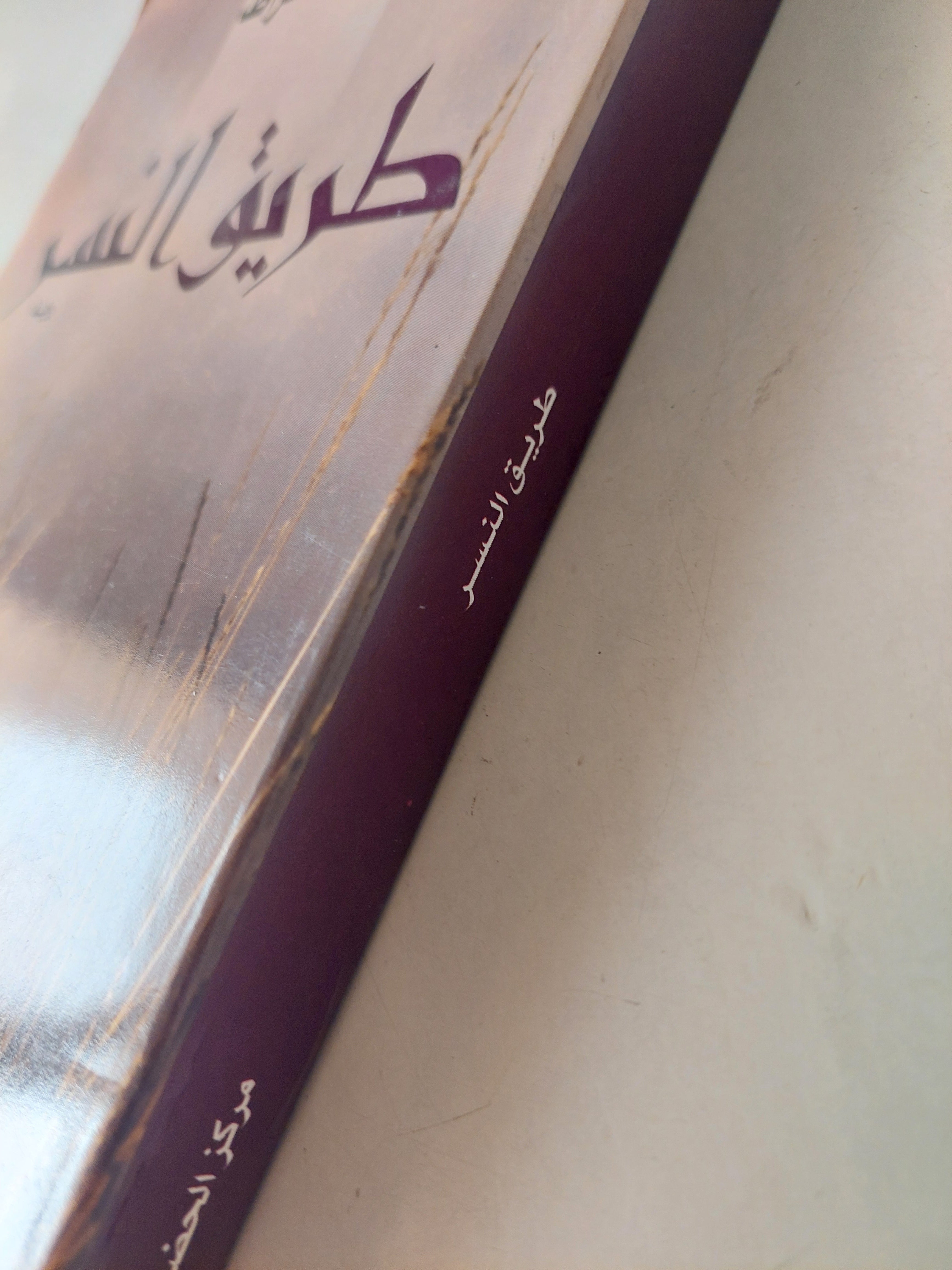 طريق النسر / إدوار الخراط