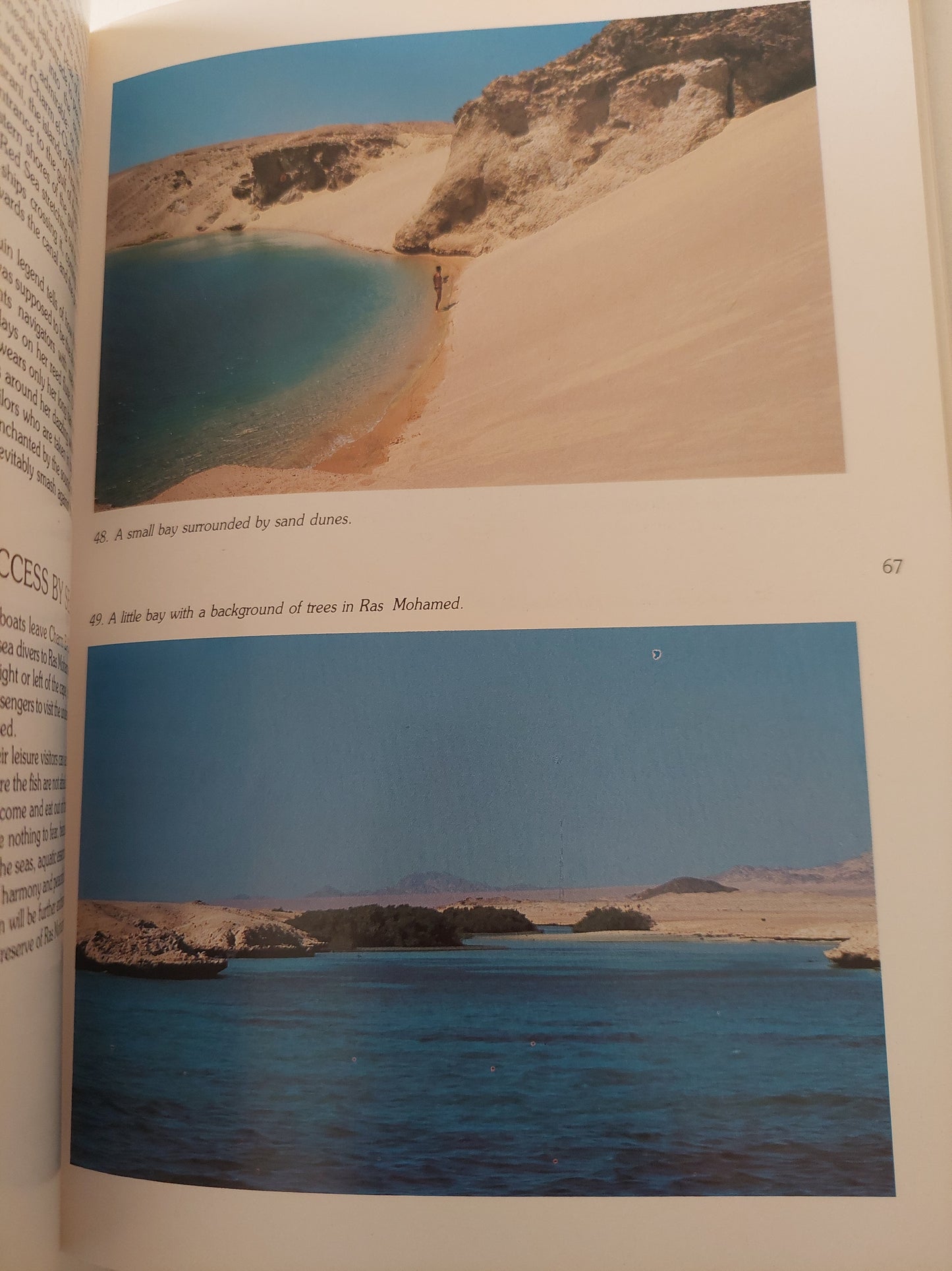 Sinai .. Guide Of The Peninsula and The Red Sea