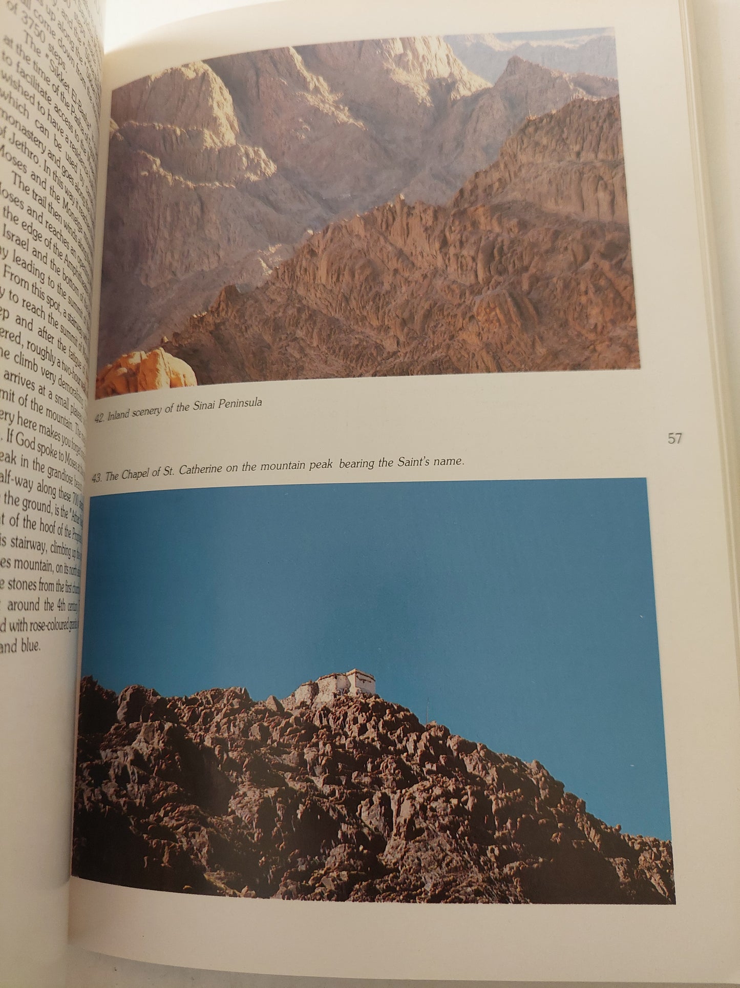 Sinai .. Guide Of The Peninsula and The Red Sea