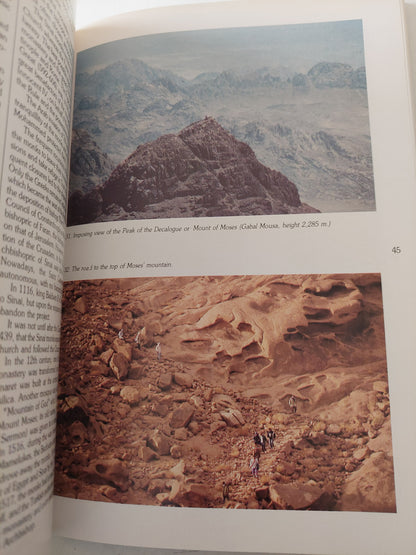 Sinai .. Guide Of The Peninsula and The Red Sea