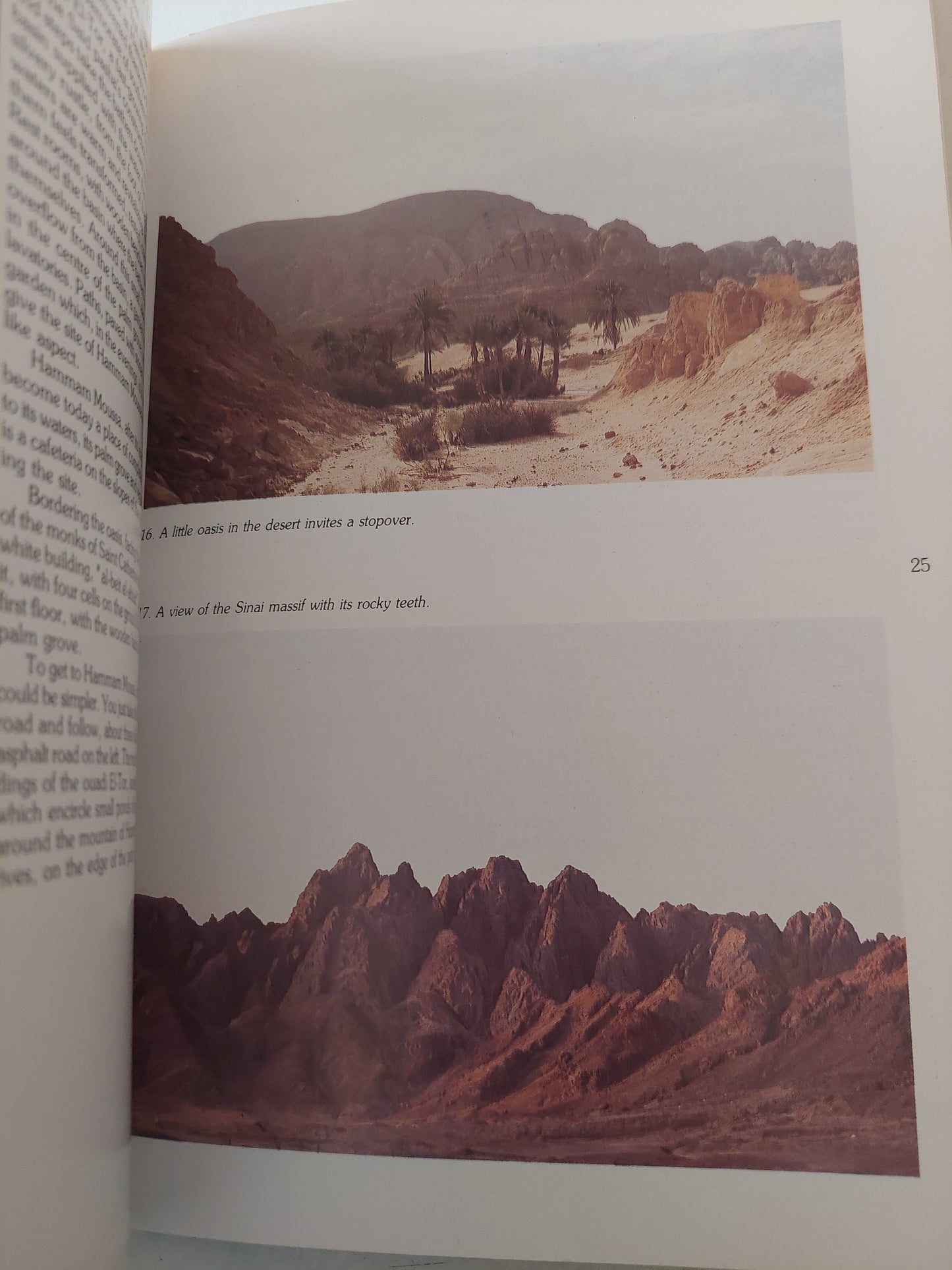 Sinai .. Guide Of The Peninsula and The Red Sea