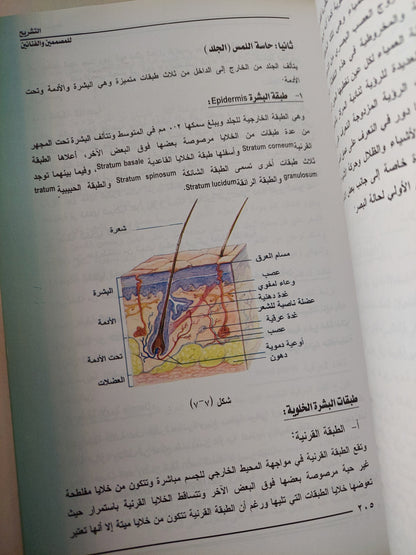 التشريح للمصممين والفنانين / جزئين