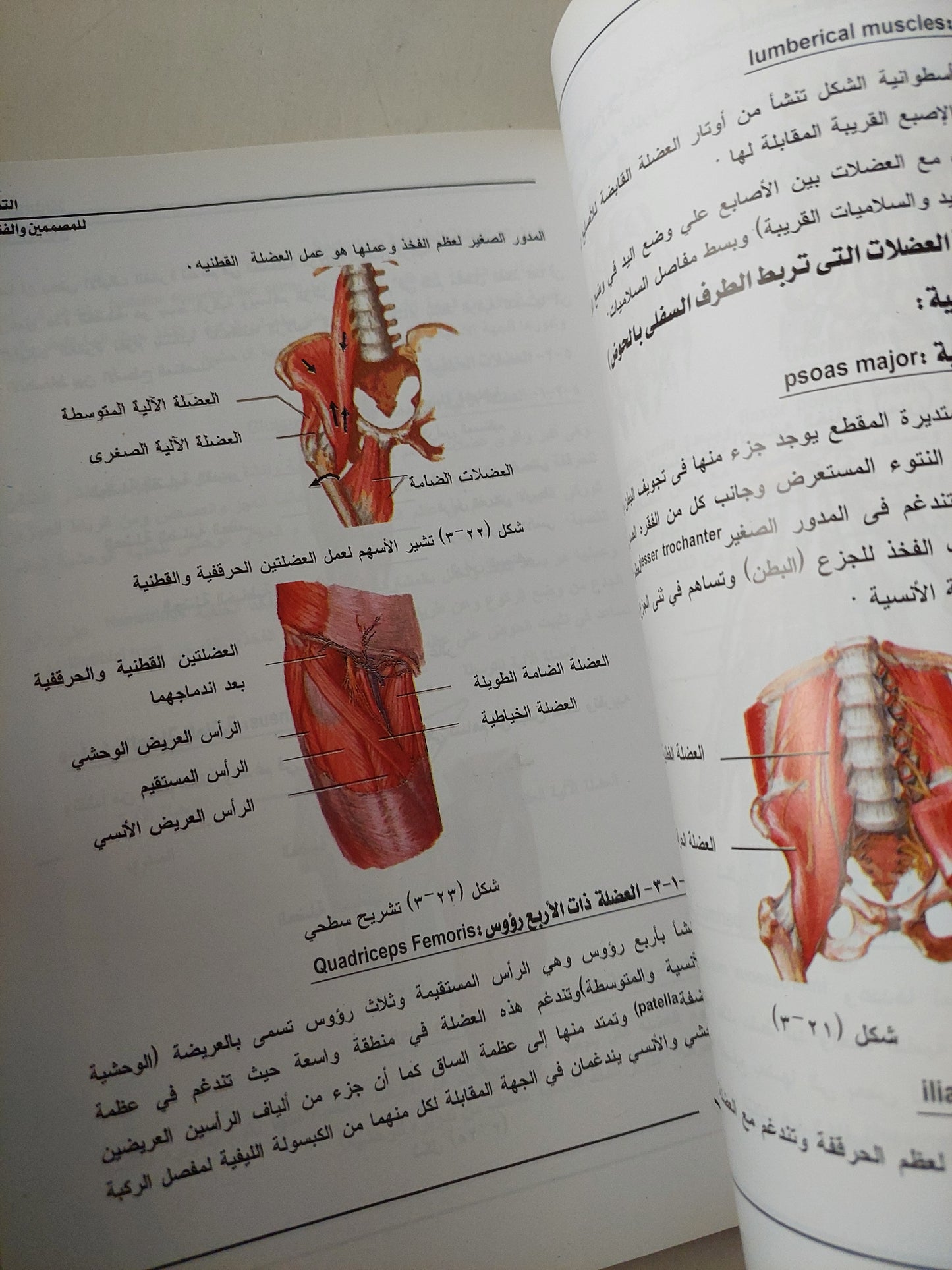 التشريح للمصممين والفنانين / جزئين