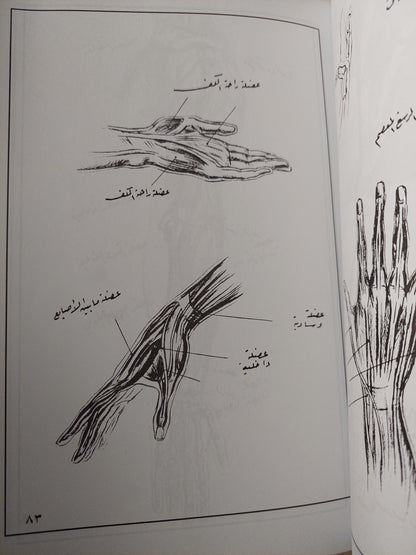 التشريح للمصممين والفنانين / جزئين