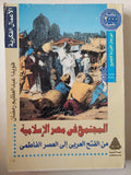 المجتمع فى مصر الإسلامية .. من الفتح العربى إلى العصر الفاطمي / هويدا عبد العظيم رمضان