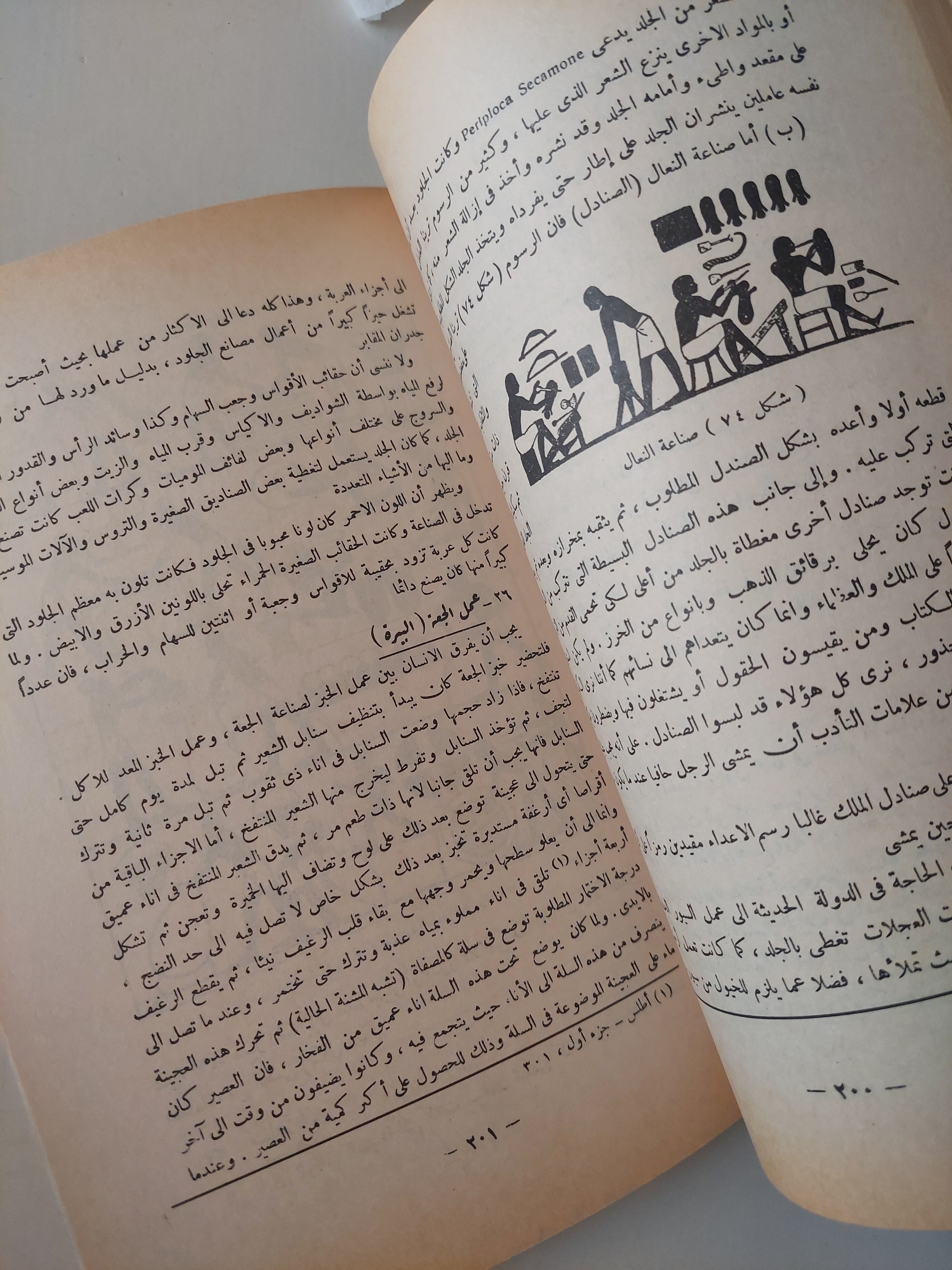 تاريخ الفن المصرى القديم / محرم كمال - ملحق بالصور
