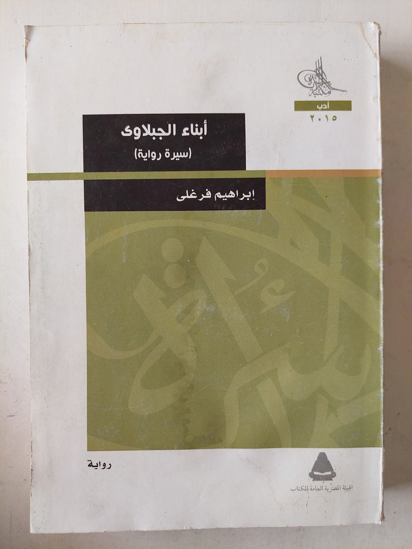 أبناء الجبلاوى / إبراهيم فرغلى