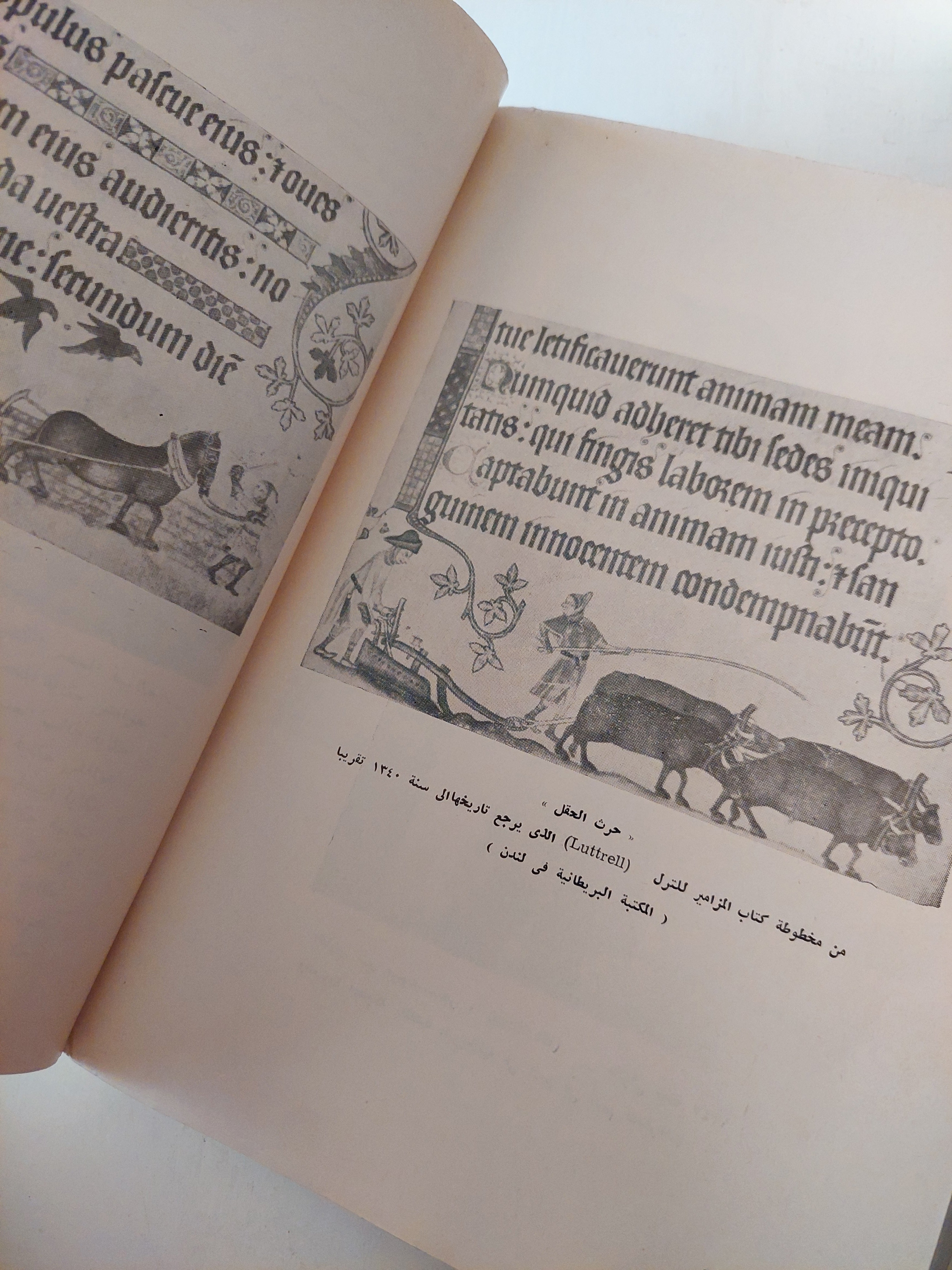 حكايات كانتربرى / جيفرى تشوسر ملحق بالصور
