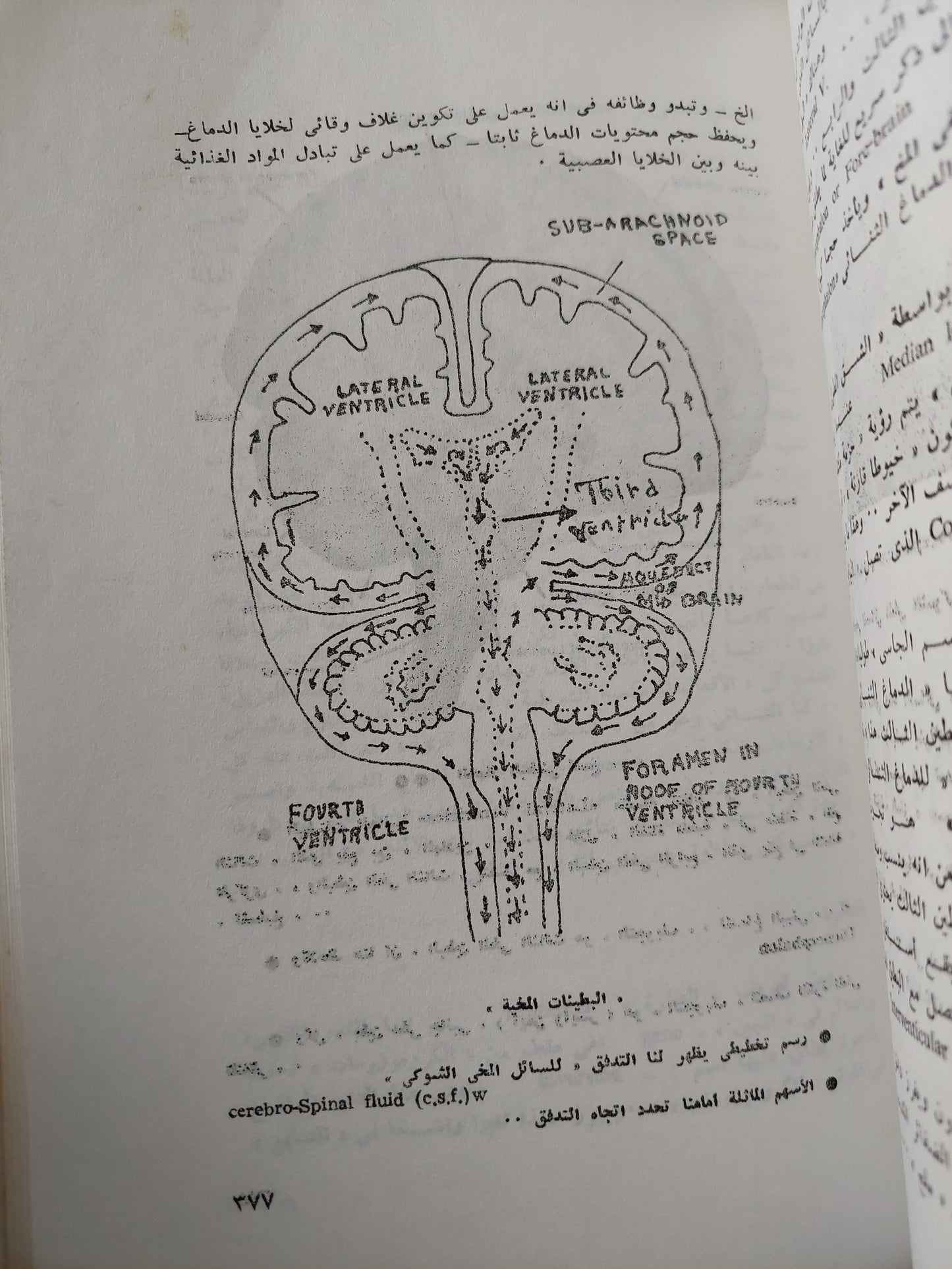 تصدع الشخصية فى نظريات علم النفس / يوسف الحجاجى