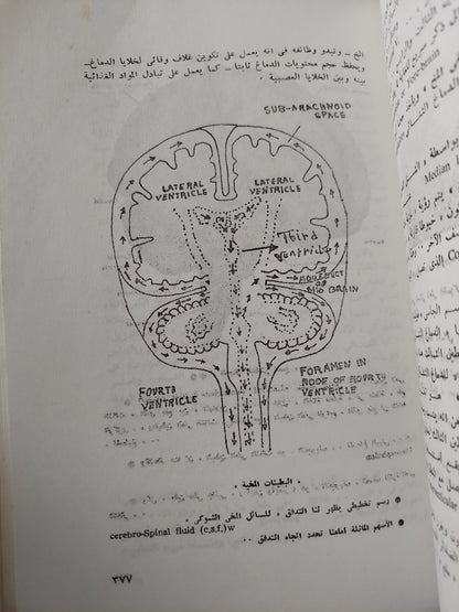 تصدع الشخصية فى نظريات علم النفس / يوسف الحجاجى