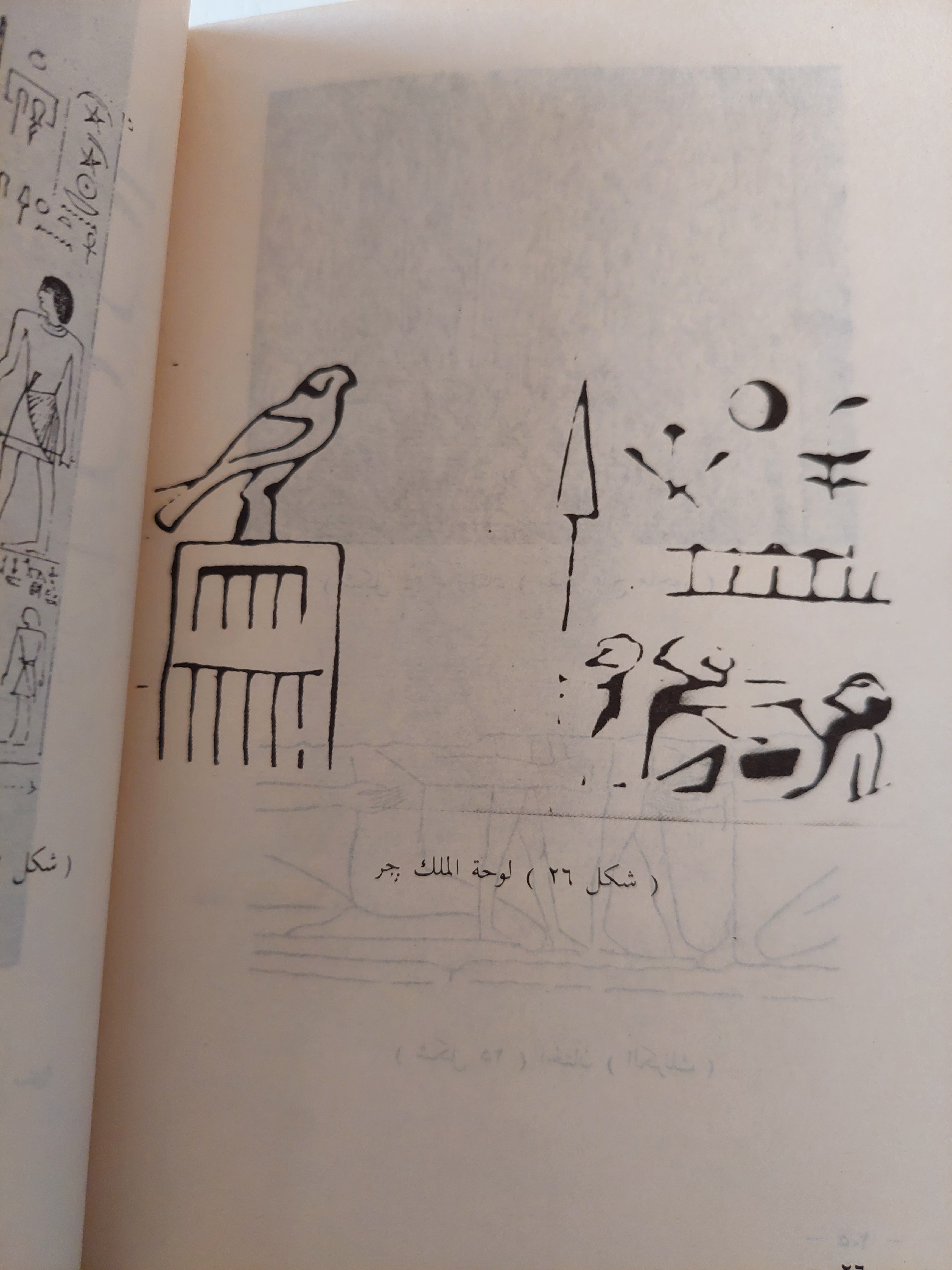 الطب عند قدماء المصريين / بول غليونجى -ملحق بالصور