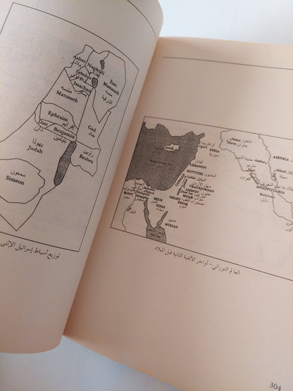 ١٠١ أسطورة توراتية / جارى جرينبرج