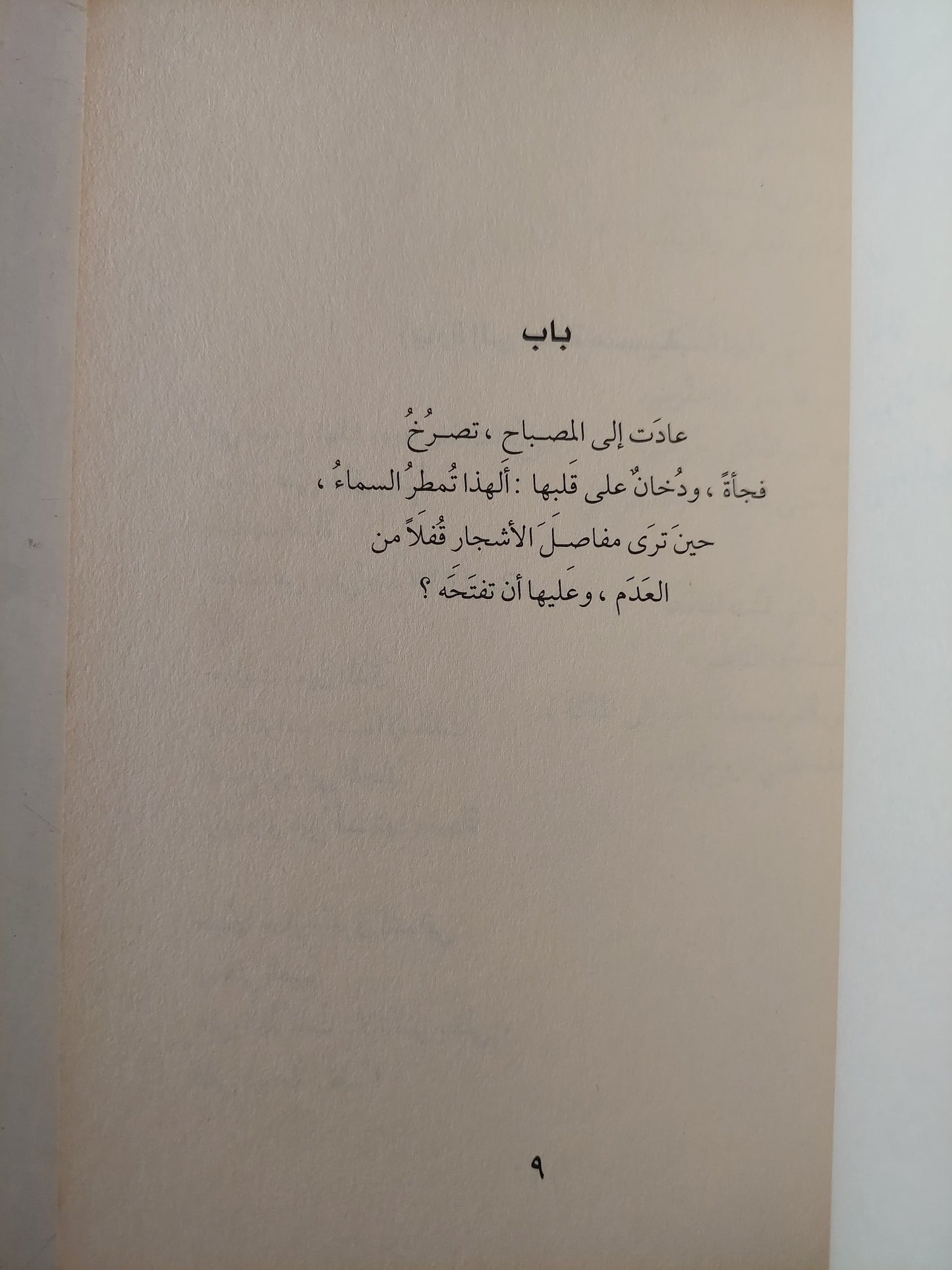 مخلب فى فراشة / محمد عيد إبراهيم