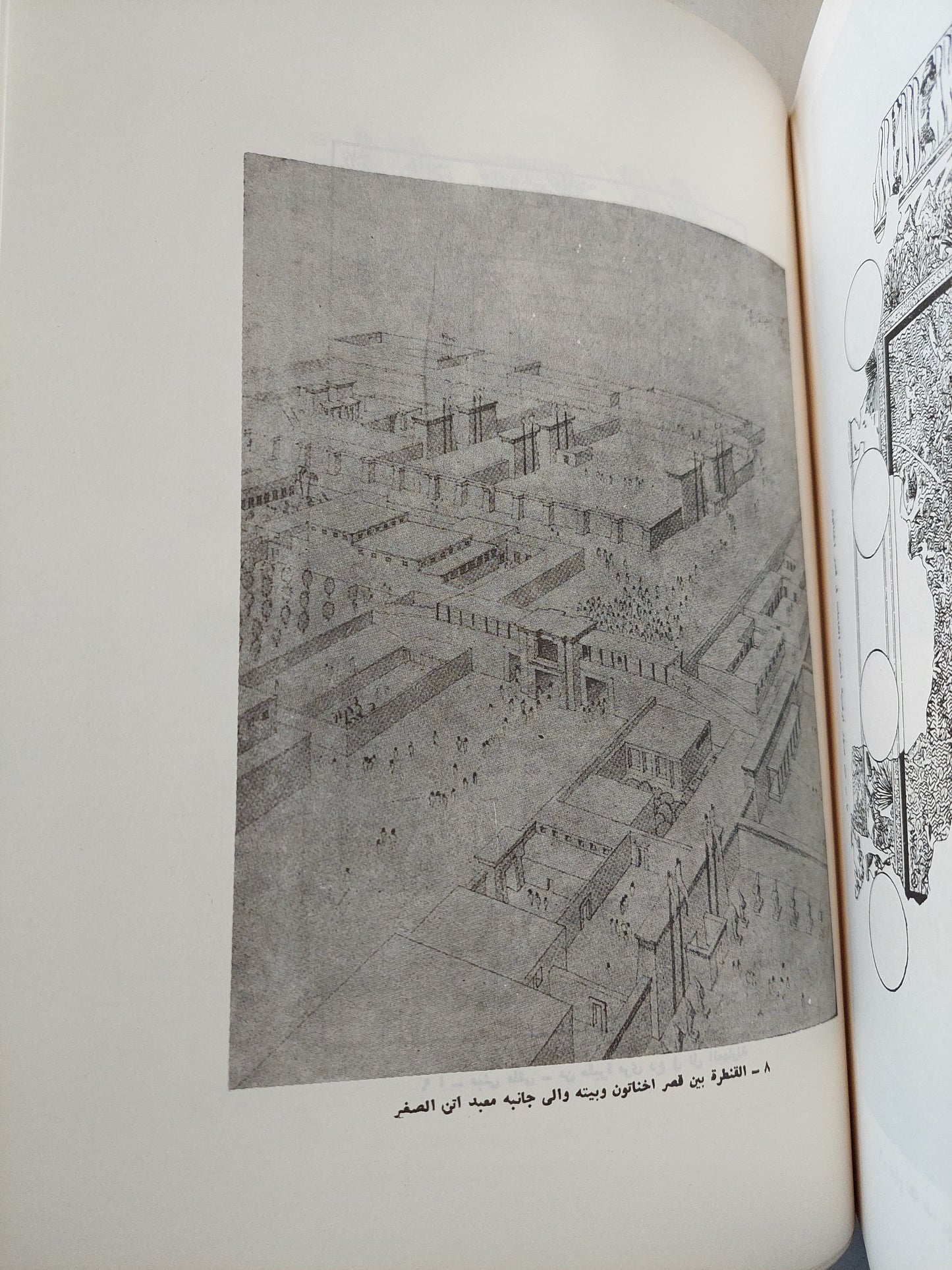 العمارة فى مصر القديمة / محمد أنور شكرى  -مجلد ضخم قطع كبير ملحق بالصور