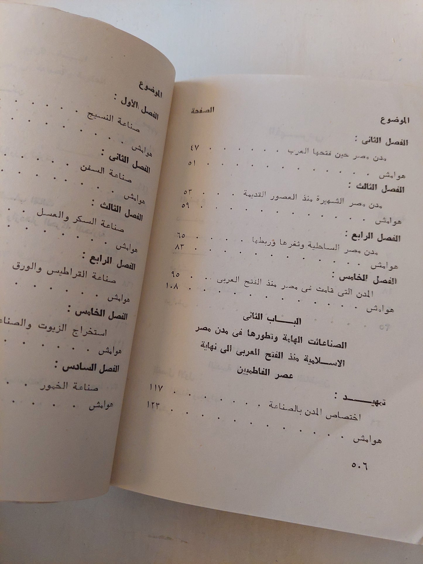 مدن مصر الصناعية فى العصر الإسلامى / صفى على محمد