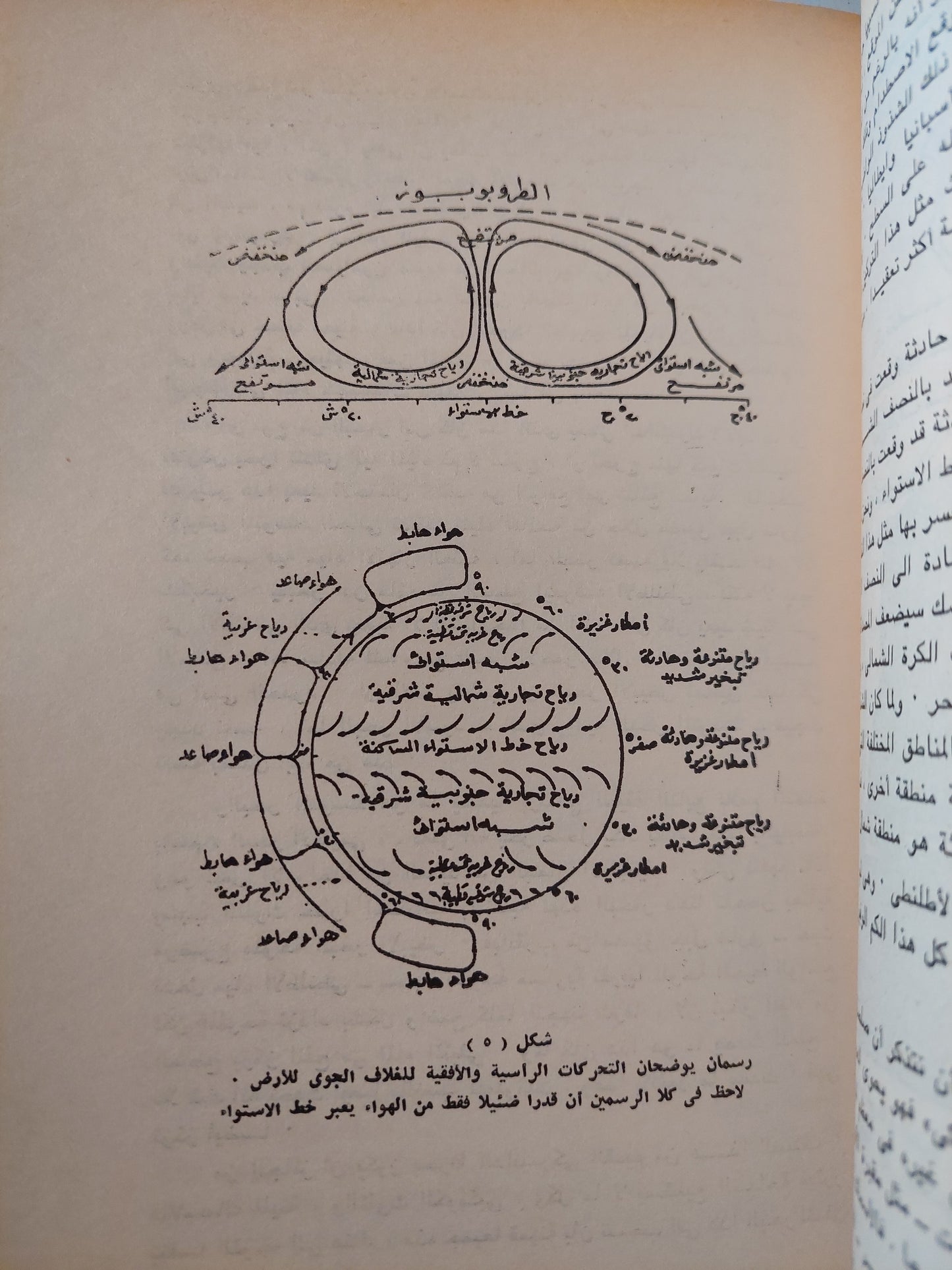 الانقراض الكبير .. ما الذي قضى على الديناصورات ودمر الارض ؟ / ميكائيل البي وجيمس لفلوك -ملحق بالصور