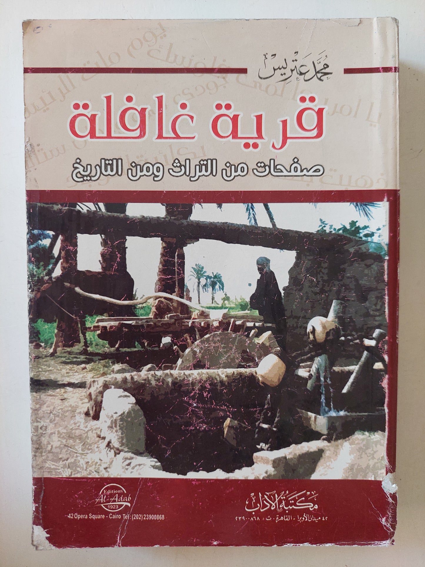 قرية غافلة .. صفحات من التراث ومن التاريخ  / محمد عتريس