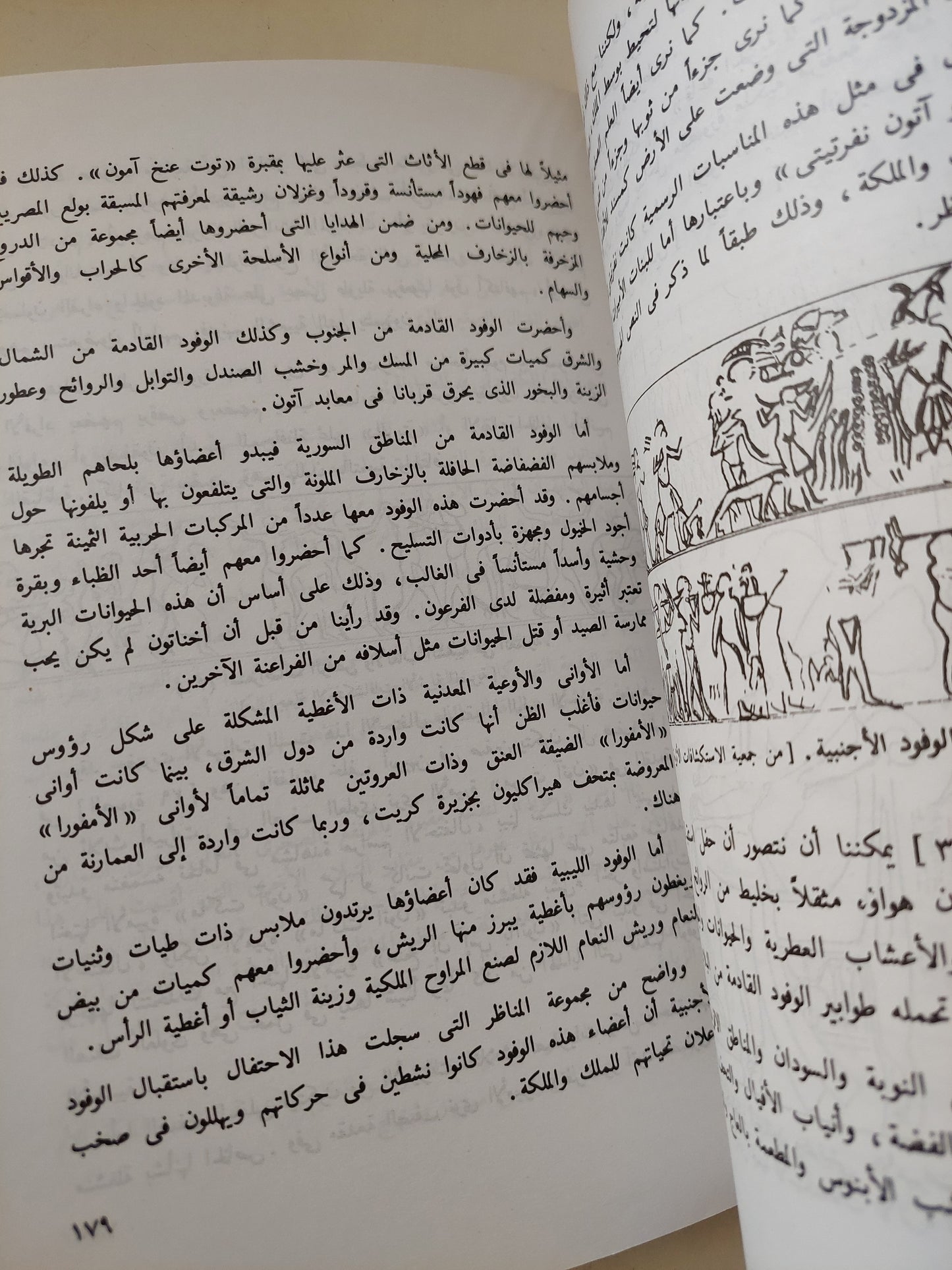 نفرتيتي الجميلة التي حكمت مصر في ظل ديانة التوحيد / جوليا سامسون - ملحق بالصور