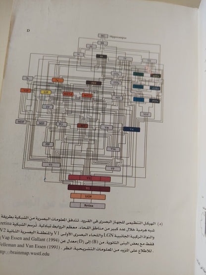 البحث عن الوعى .. مقاربة بيولوجية عصبية / كريستوف كوتش - ملحق بالصور