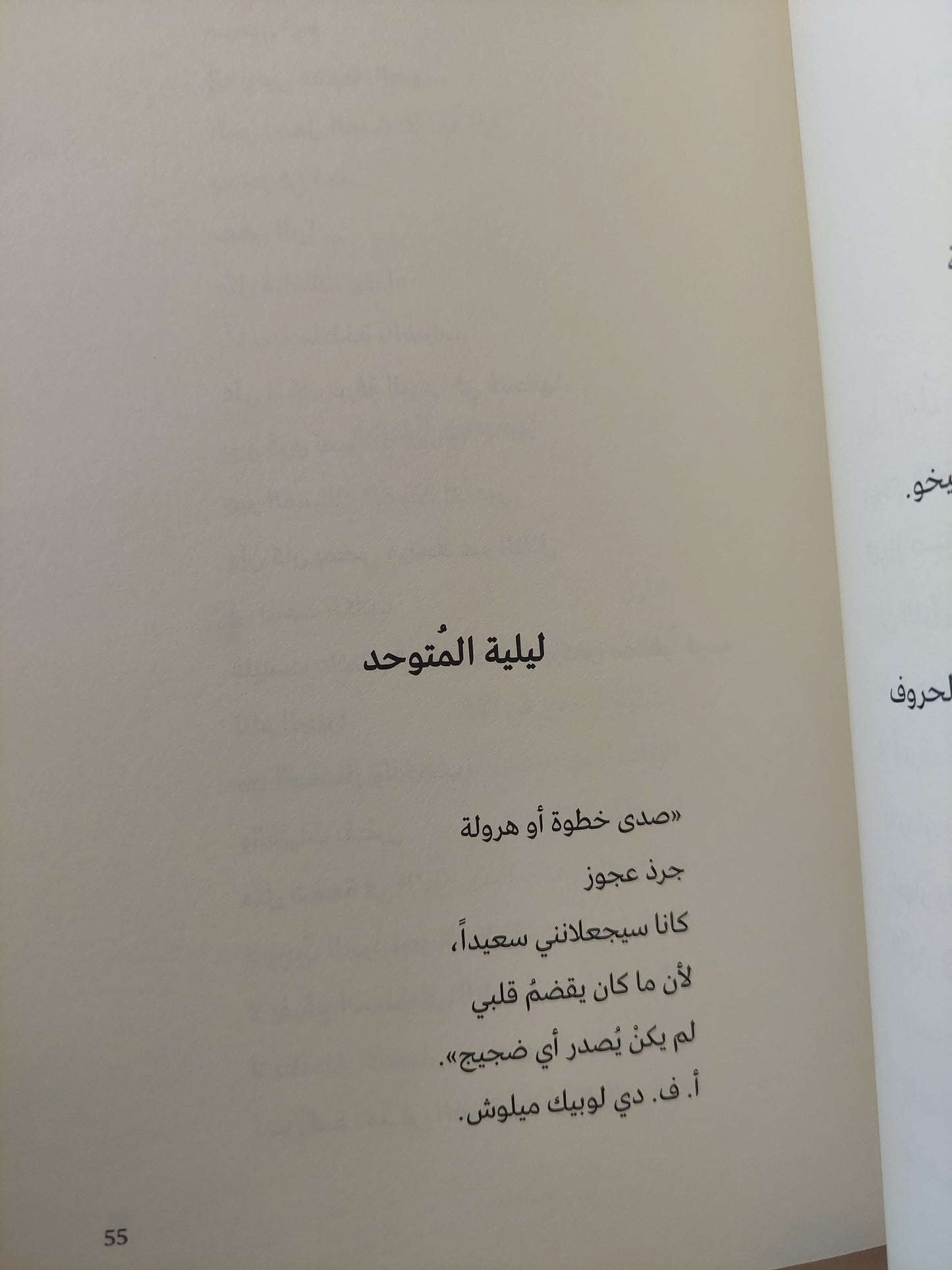 صانع المرايا / خوان مانويل روكا