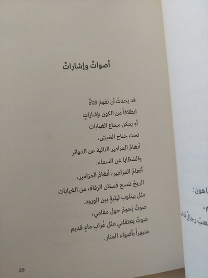 صانع المرايا / خوان مانويل روكا