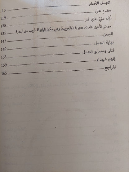 الجمل بما حمل / أحمد إسماعيل