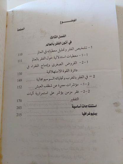 فقراء زمن العولمة / محمد العودى