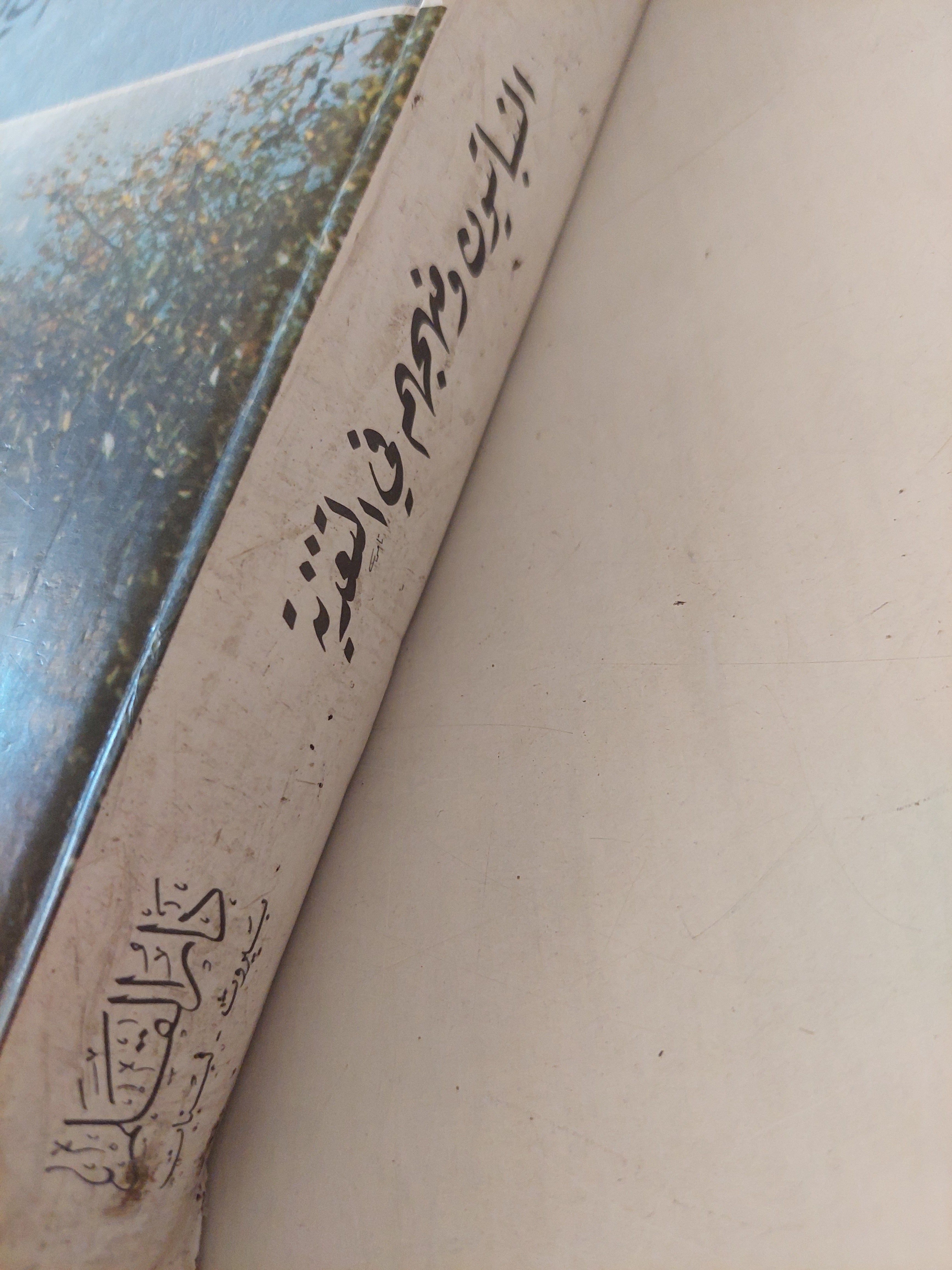 النباتيون ومنهجهم في التغذية / أمين رويحة - هارد كفر