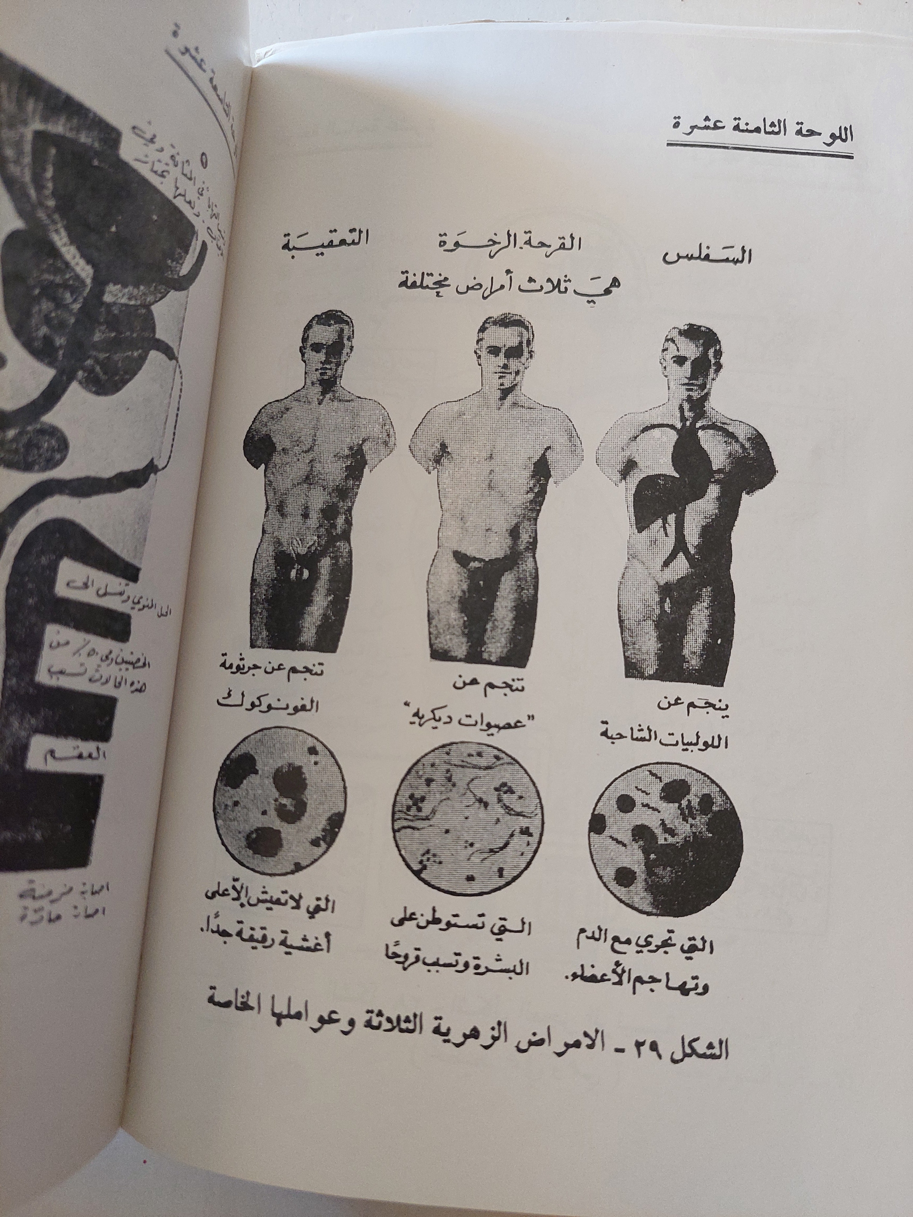 حياتنا الجنسية ..مشكلاتها وحلولها / فريدريك كهن
