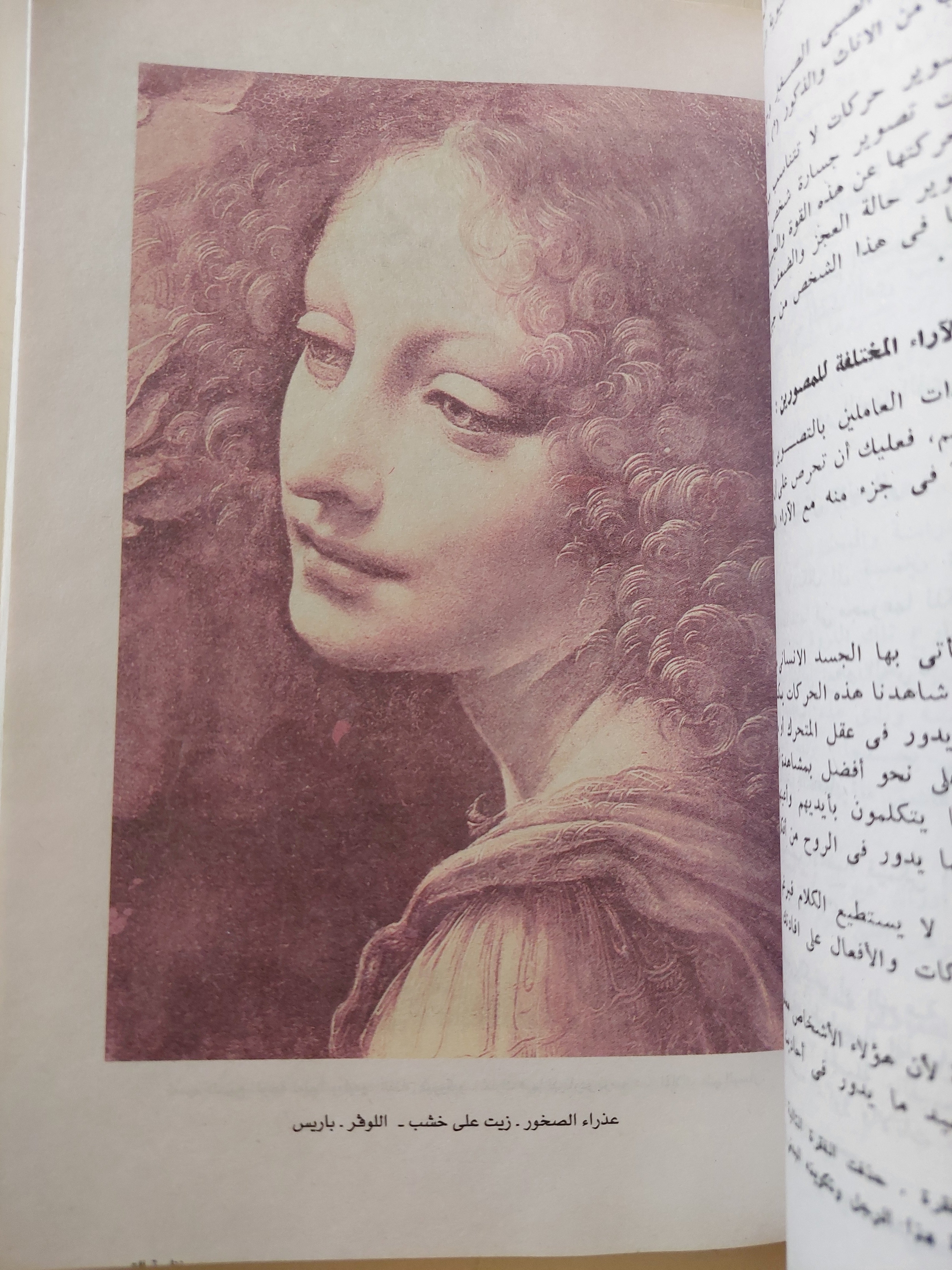 نظرية التصوير / ليوناردو دافنشى - ملحق بالصور