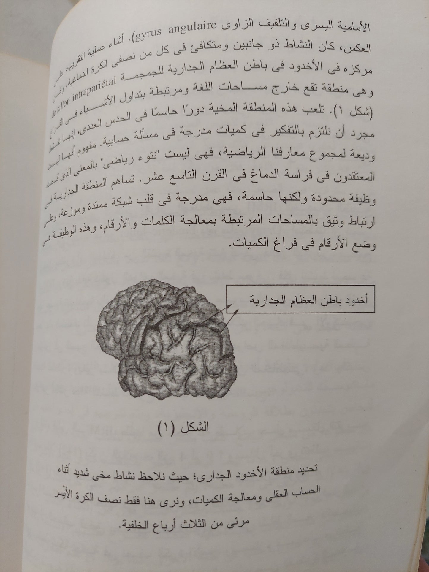 جامعة كل المعارف الجزء الرابع .. ما الكون ؟ / أيف ميشو - مجلد ضخم