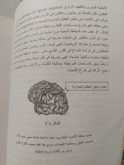 جامعة كل المعارف الجزء الرابع .. ما الكون ؟ / أيف ميشو - مجلد ضخم