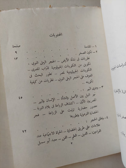 أبو سمبل بين الصخر والإنسان / محمد فتحي عوض الله