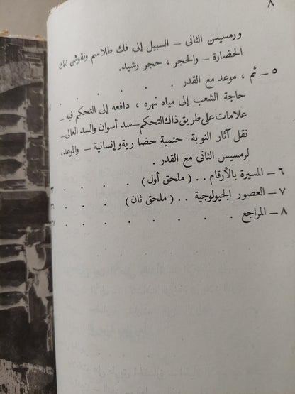 أبو سمبل بين الصخر والإنسان / محمد فتحي عوض الله