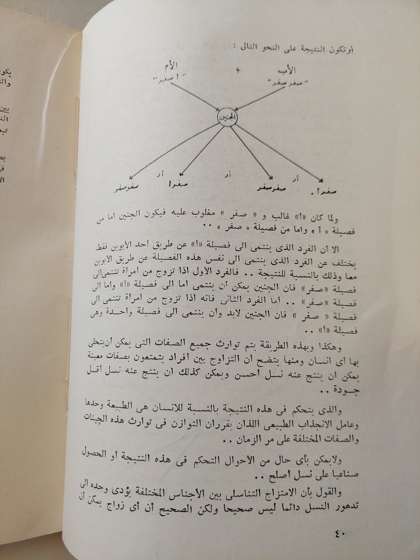 فكرة صائبة عن الأجناس والعنصرية / فيليب ماسون