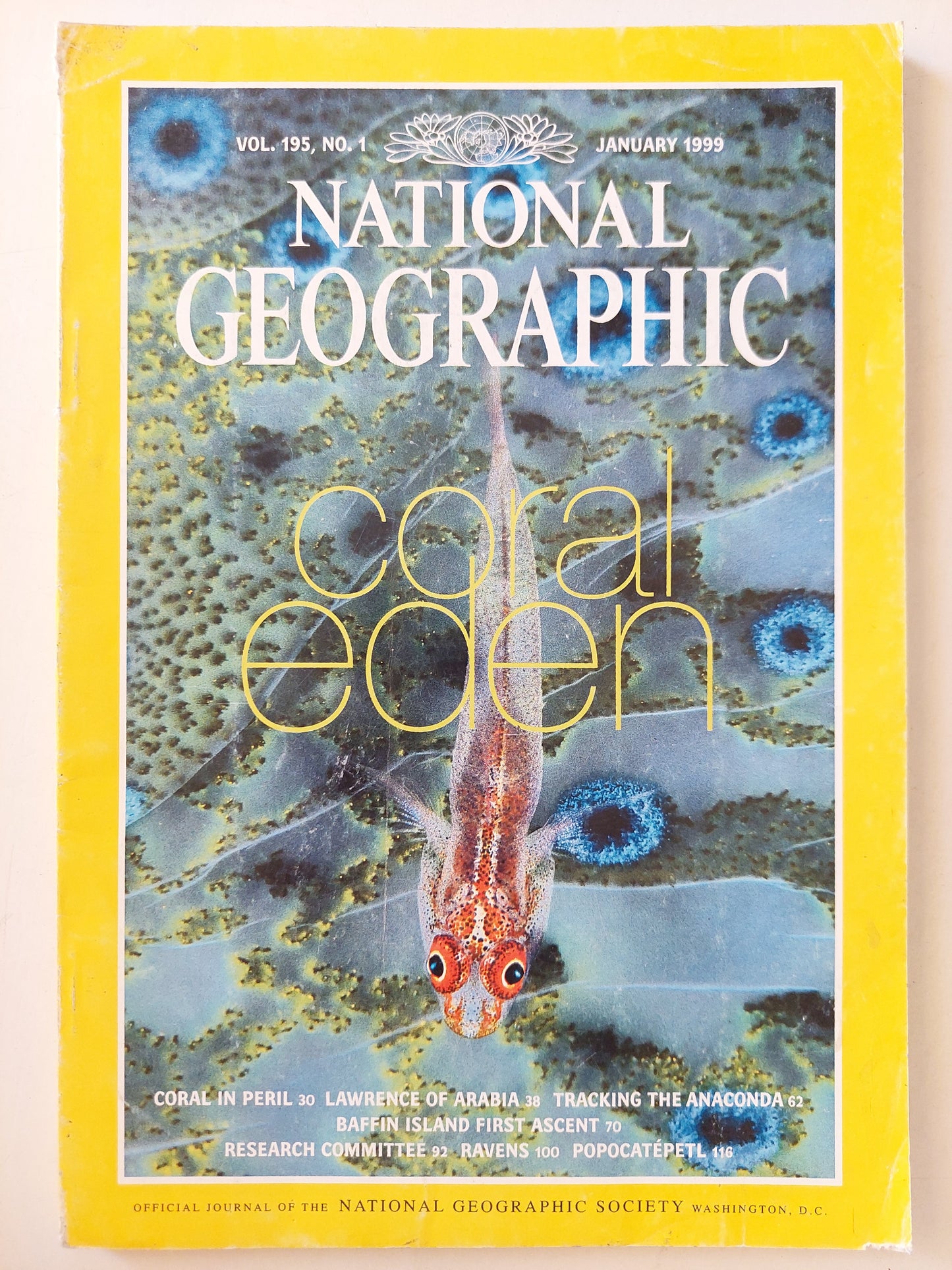 National Geographic .. vol 195 no.1 .. january 1999