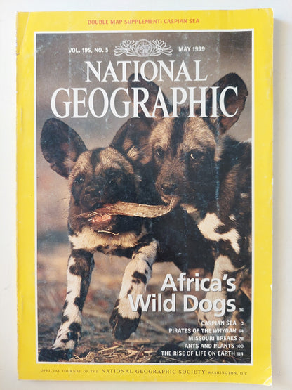 National Geographic .. vol 195 no.5 .. May 1999