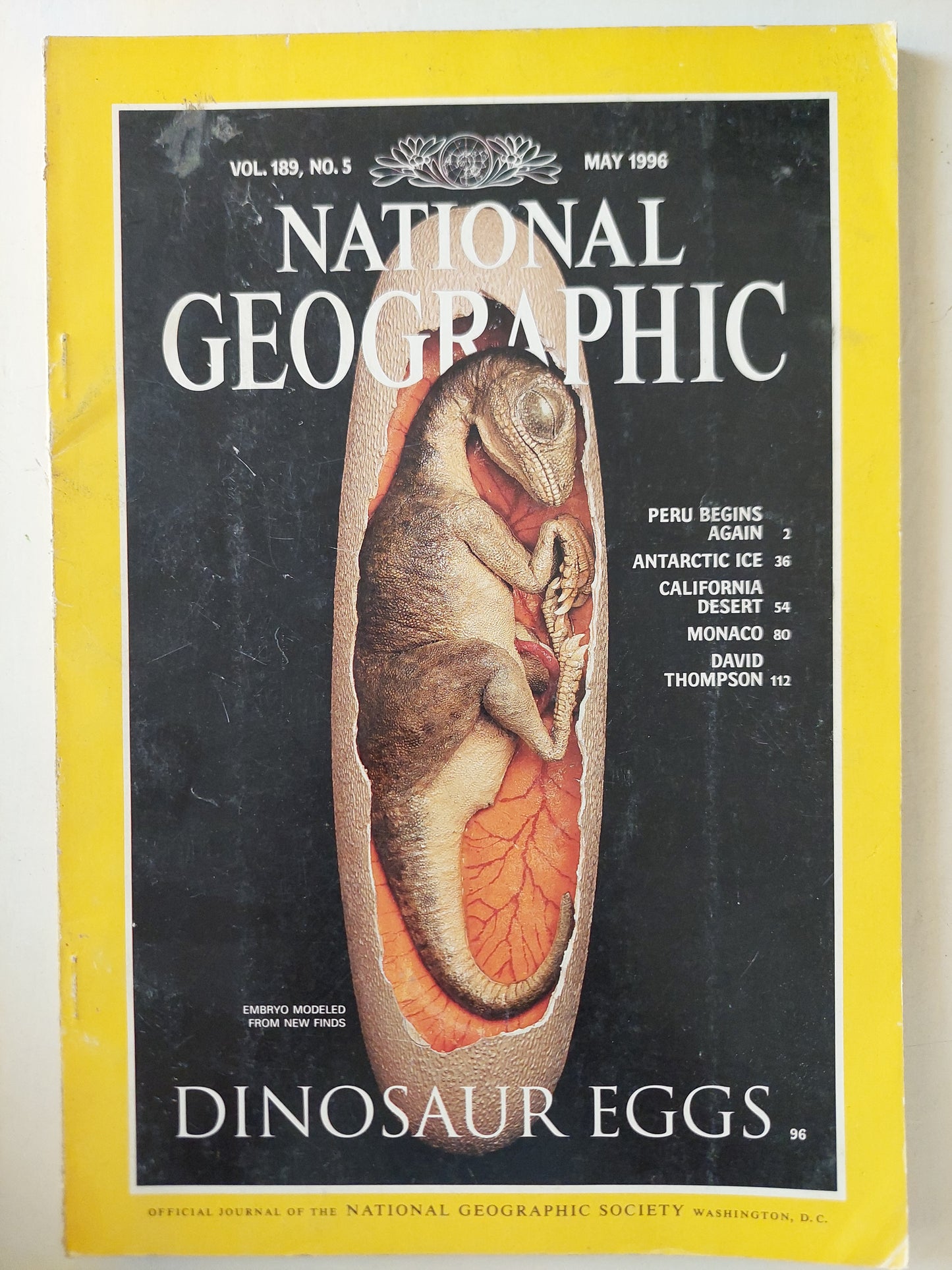 National Geographic .. vol 189 no. 5 May 1996 .. Dinosaur eggs