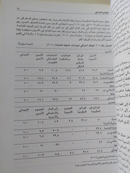 القطاع المالى العراقى