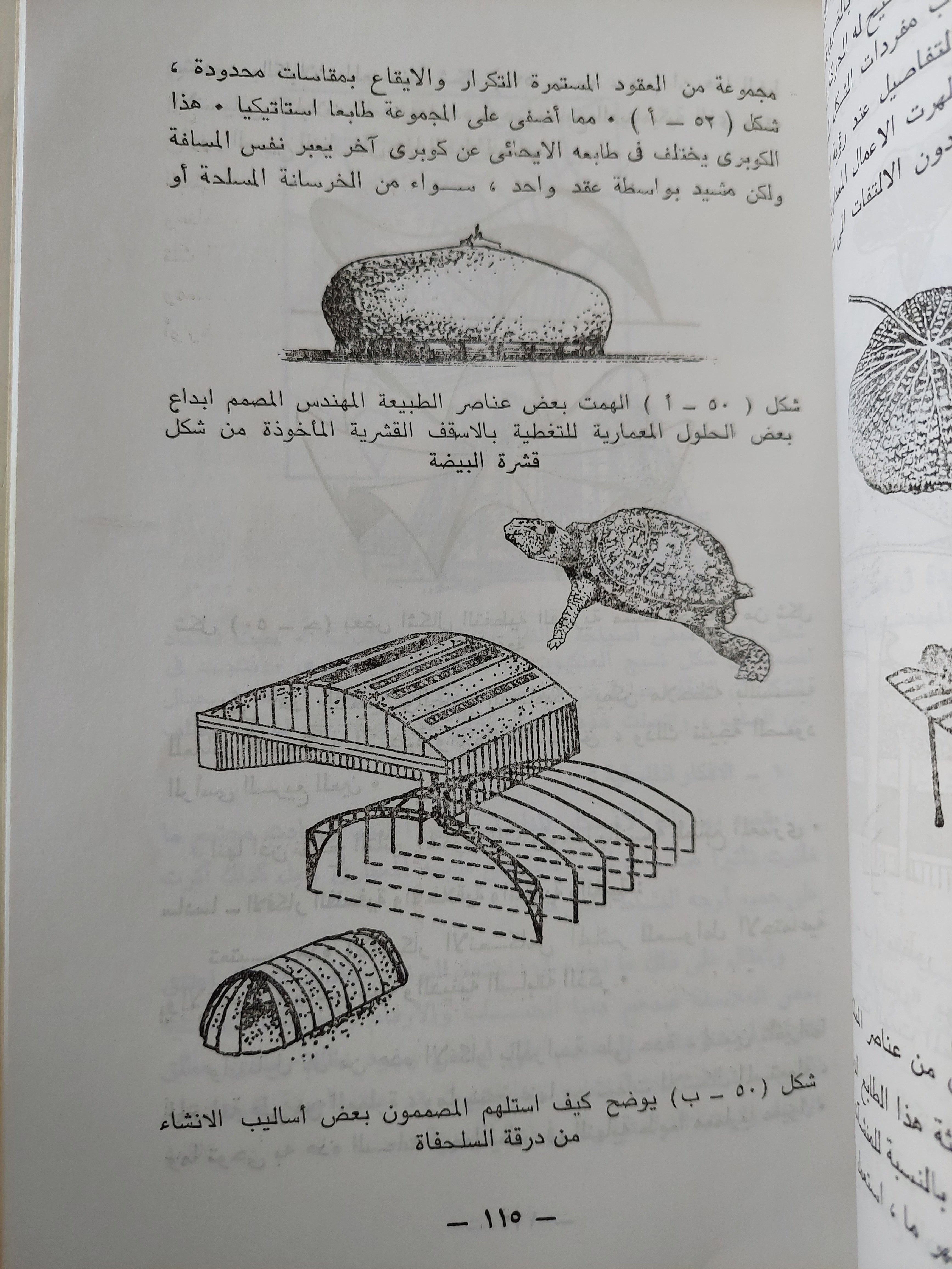 الطابع المعماري بين التأصيل والمعاصرة / ألفت يحيي حمودة - ملحق بالصور