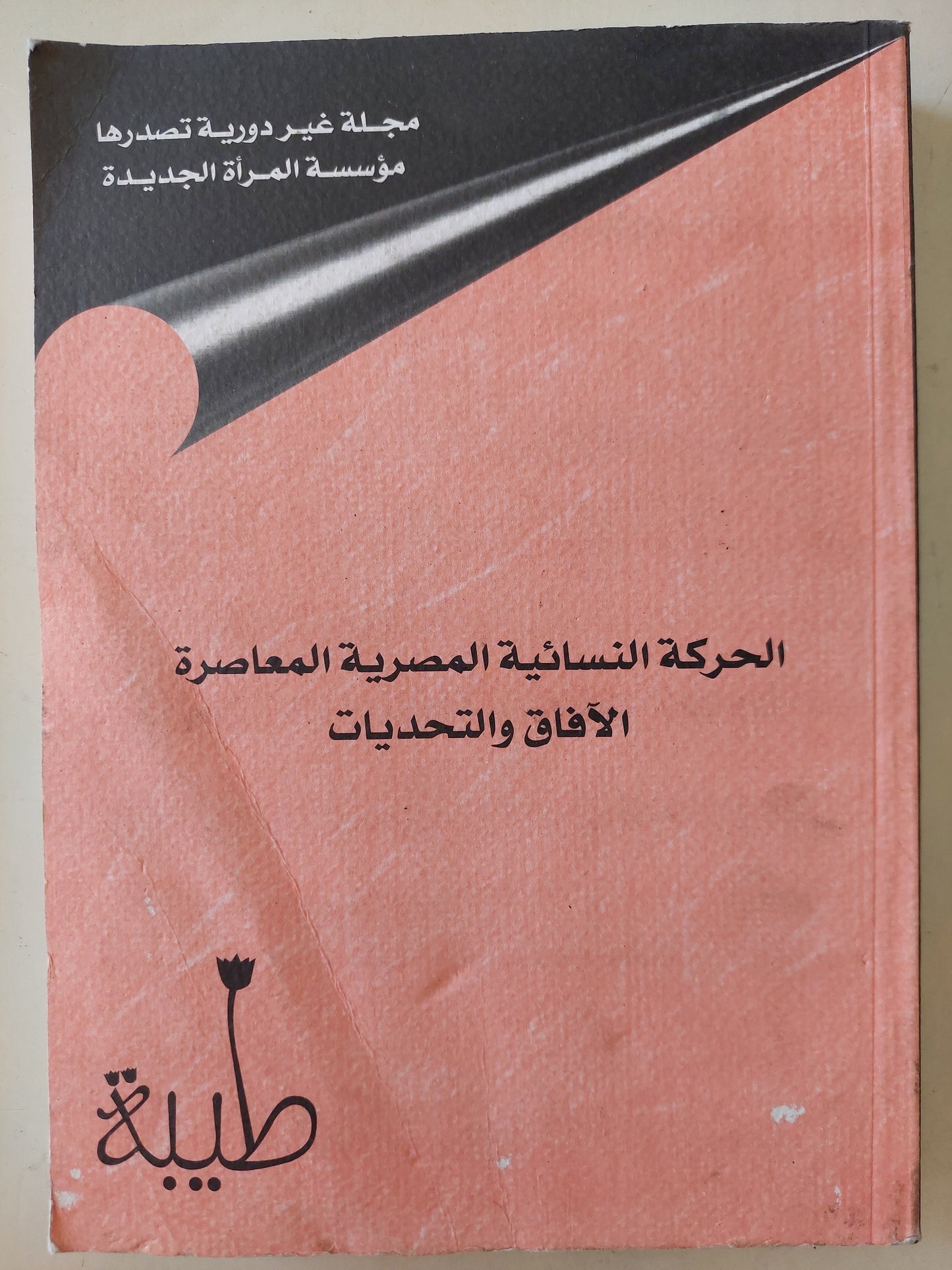 مجلة طيبة - الحركة النسائية المصرية المعاصرة .. الآفاق والتحديات