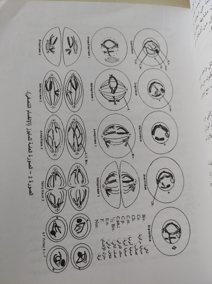 أساسيات علم الوراثة / جيرار سيغان - ملحق بالصور