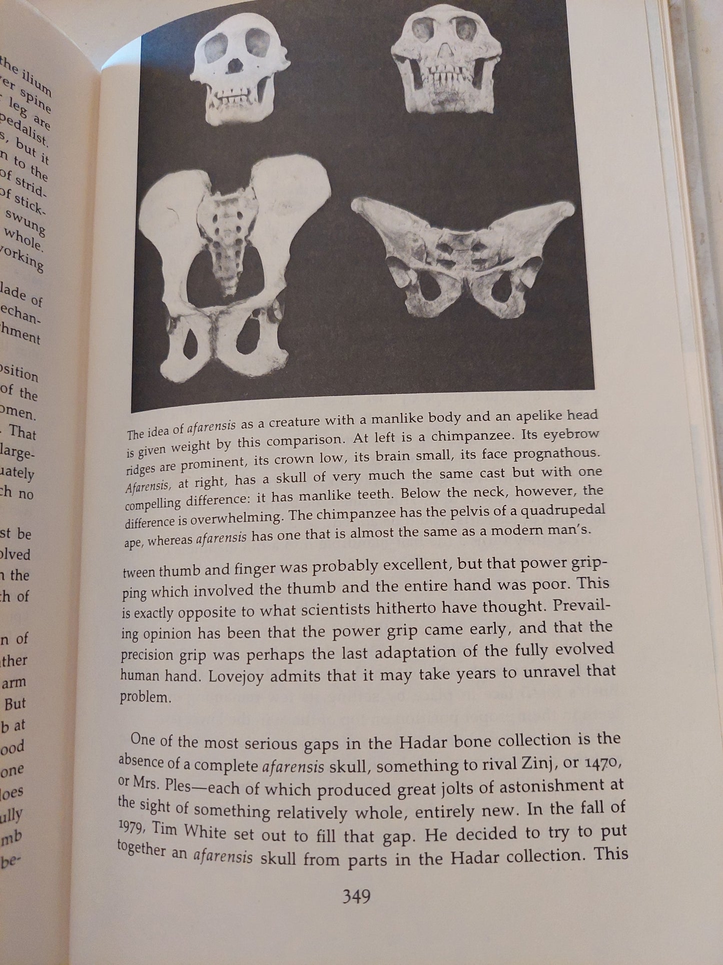 Lucy .. The beginnings of humankind / Donald Johansen & Maitland Edey - هارد كفر ملحق بالصور