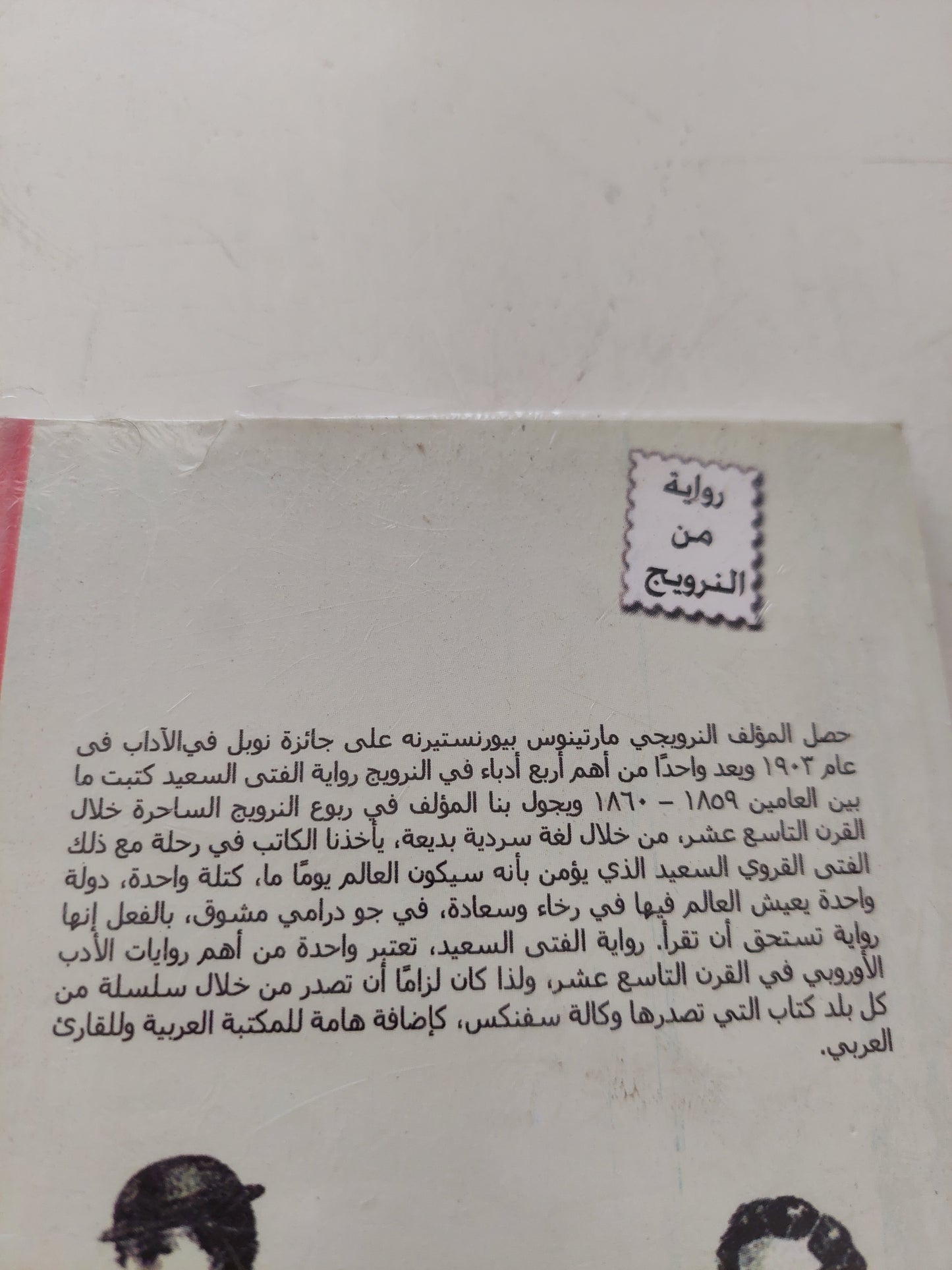 الفتى السعيد / مارتينوس بيرتسون