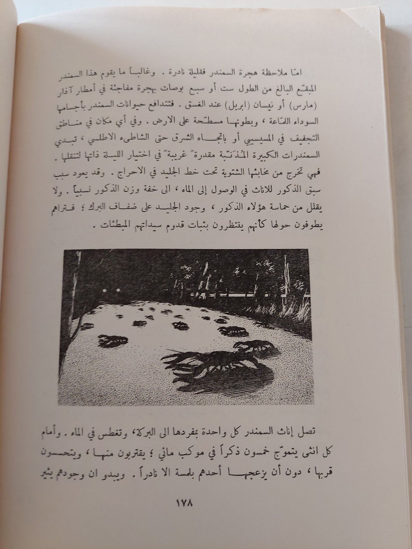 عالم الليل / لوري ج ميلان ومارجرى ج ميلان - طبعة ١٩٦٢